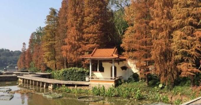如何去深圳仙湖植物园不用买门票