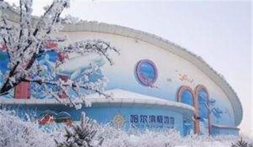 哈尔滨极地馆游玩记