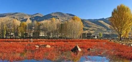 稻丁亚城旅游攻略