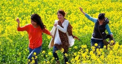 春季旅游景点推荐指南