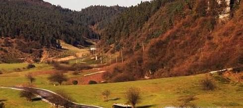 重庆仙女山旅游攻略—旅程天下