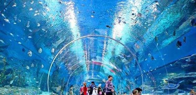 日照海洋公园好玩吗？