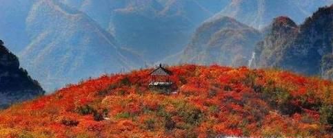 河南焦作靳家岭红叶自由行攻略