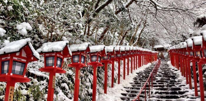 冬天去日本哪里玩好,冬天去日本哪里看雪