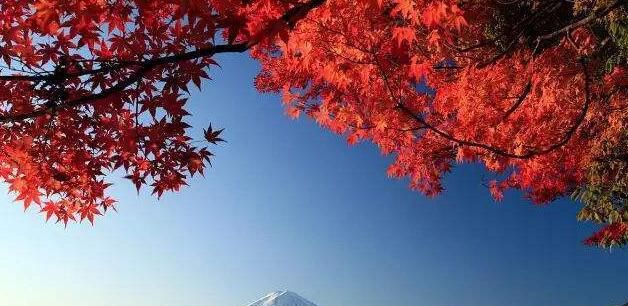 11月份去日本要带什么，11月去日本哪里好玩