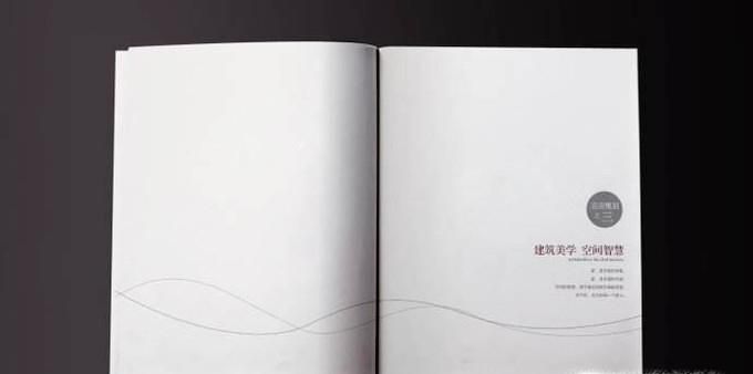 白皮书是什么意思