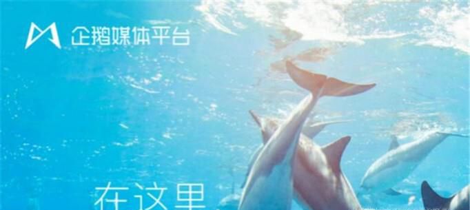 企鹅号怎么赚钱