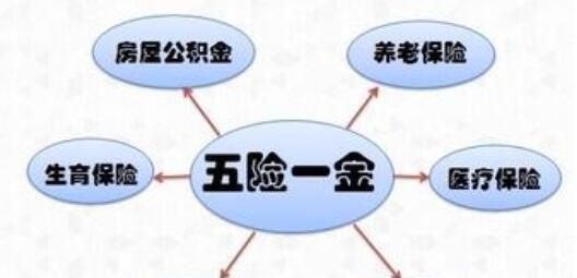 新农合和五险一金的区别