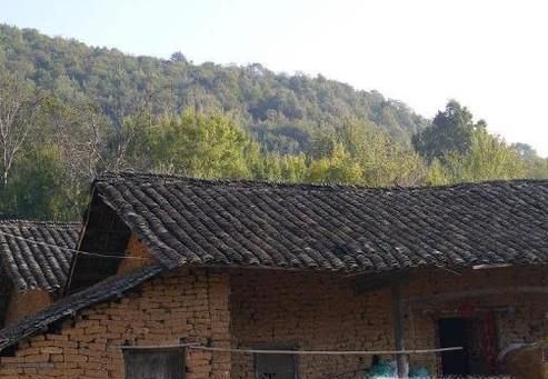 农村干什么赚钱？年轻人回农村做什么挣钱？