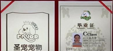 宠物美容师证怎么考