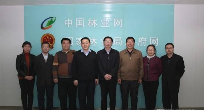 林权证如何办理,办理过程需要注意什么?