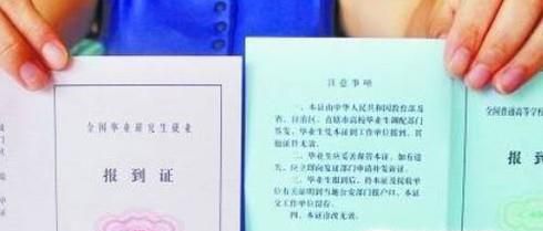 最新消息，如果报到证丢了怎么办？