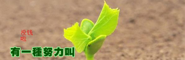 在安徽，没钱的时候大家都是怎么过的？