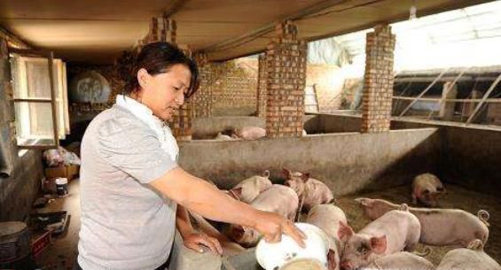 养殖什么动物前景最好，什么好养又赚钱