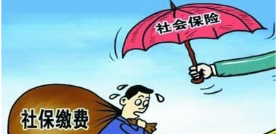 社保缴费比例