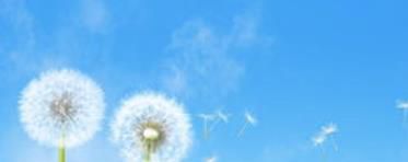 做演员需要具备的基础条件