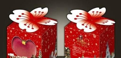 圣诞节送什么礼物好，圣诞节送朋友（同学）什么礼物好？