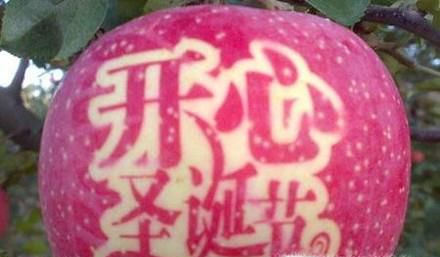平安夜、圣诞节送什么礼物好呢？