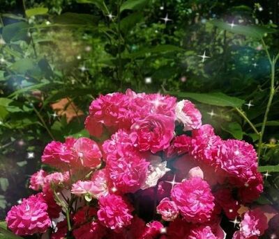 怎样画一幅母亲节送给妈妈的画