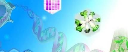 英国留学生物技术专业毕业后就业情况解析