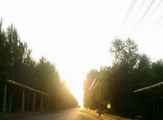 如何评价孩子写作业太磨叽，妈妈急性脑梗住院？