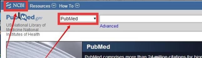 如何使用PubMed