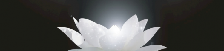 白莲什么意思