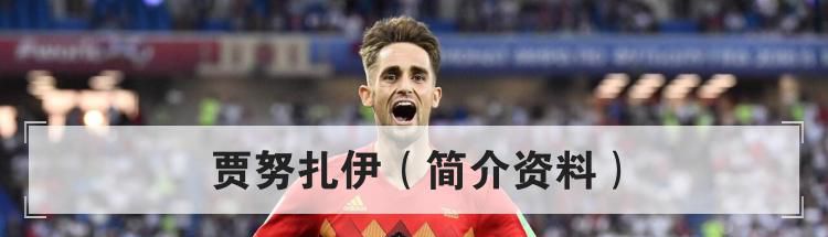 贾努扎伊（简介资料）