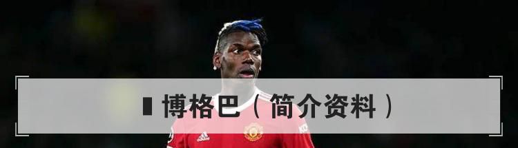  博格巴（简介资料）