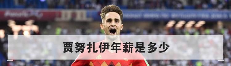 贾努扎伊年薪是多少