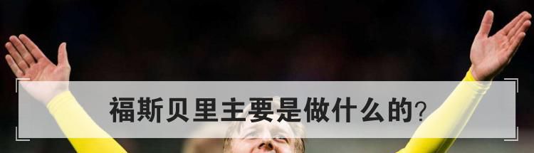 福斯贝里主要是做什么的？有什么成就吗？