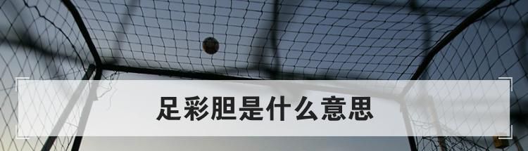足彩胆是什么意思
