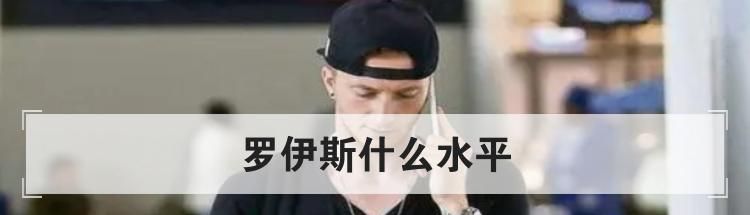 罗伊斯什么水平