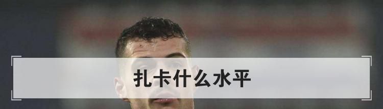 扎卡什么水平