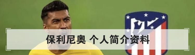 保利尼奥 个人简介资料