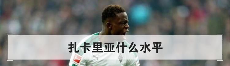扎卡里亚什么水平