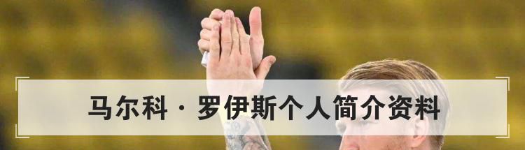 马尔科·罗伊斯个人简介资料