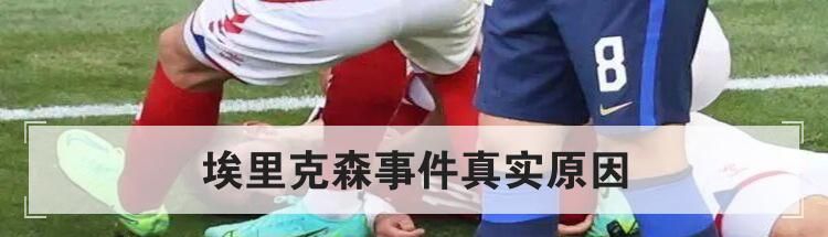 埃里克森事件真实原因