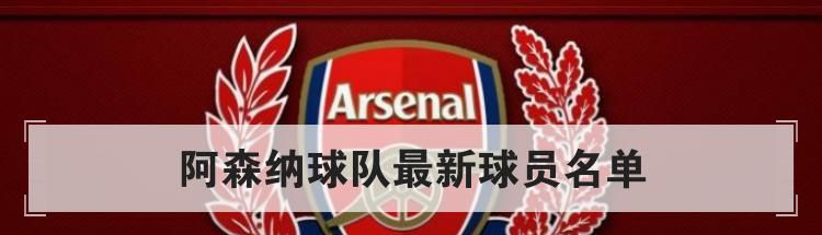 阿森纳球队最新球员名单