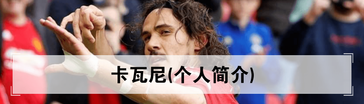 埃丁森·卡瓦尼 个人简介资料