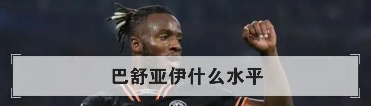 巴舒亚伊什么水平