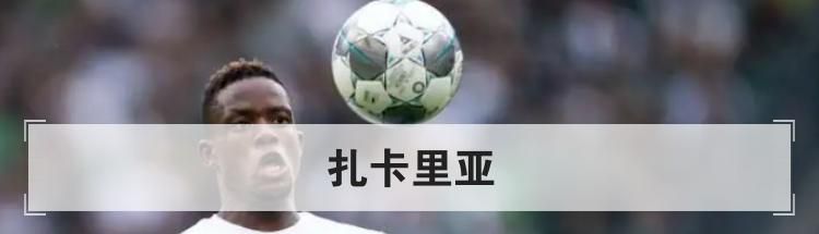扎卡里亚技术特点，扎卡里亚什么水平