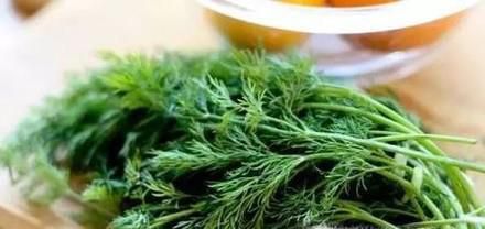 营养早餐凉拌茴香菜