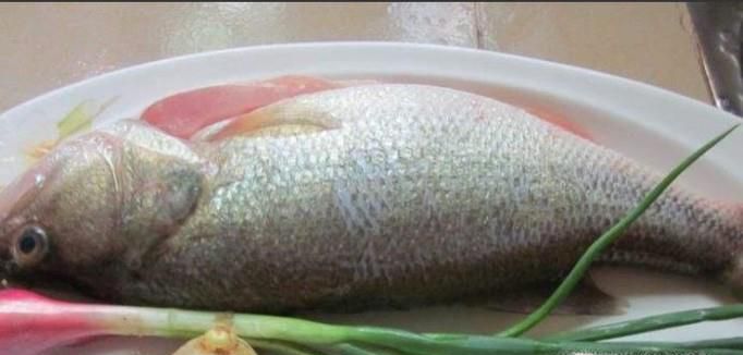 宝宝食谱：清蒸鲈鱼的做法