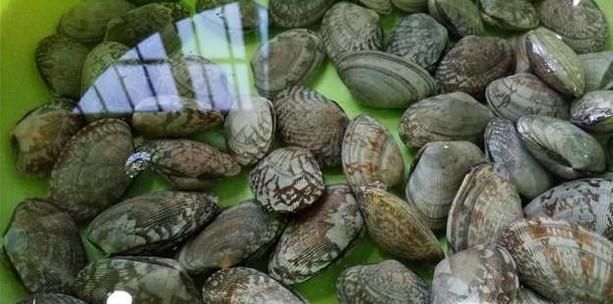 爆炒花甲怎么做，比外面还要好吃的炒花甲