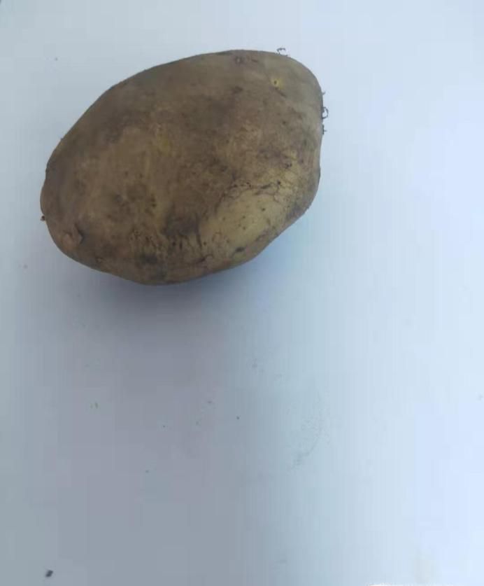 土豆条是怎么切出来的