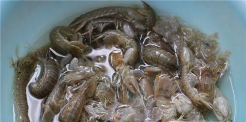 皮皮虾怎么处理