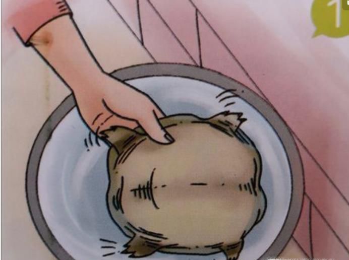 甲鱼怎么样杀