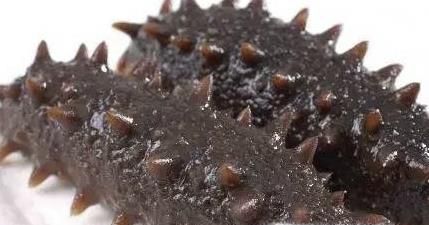 即食海参的家常吃法