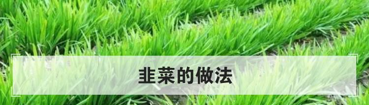韭菜的做法